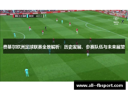 费基尔欧洲足球联赛全景解析：历史发展、参赛队伍与未来展望