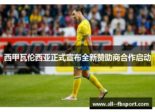西甲瓦伦西亚正式宣布全新赞助商合作启动 西甲瓦伦西亚正式宣布全新赞助商合作启动